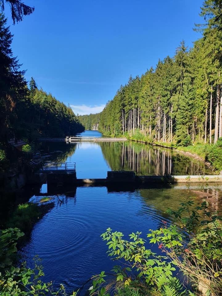 Landhaus Falkenstein Hotel Tambach-Dietharz Luaran gambar